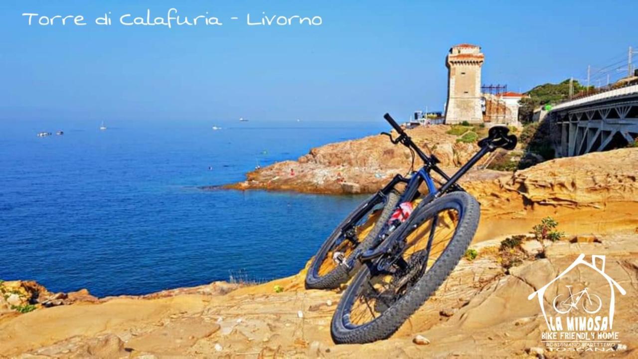 רוזיניאנו סולבאי La Mimosa - Bike Friendly Home מראה חיצוני תמונה